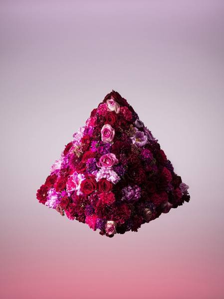 Photograph Jonathan Knowles Floral Shapes on One Eyeland